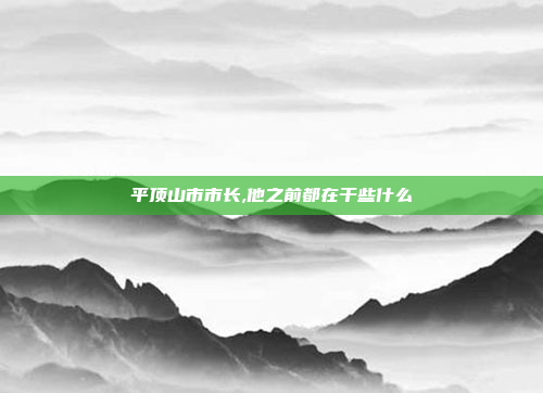 平顶山市市长,他之前都在干些什么