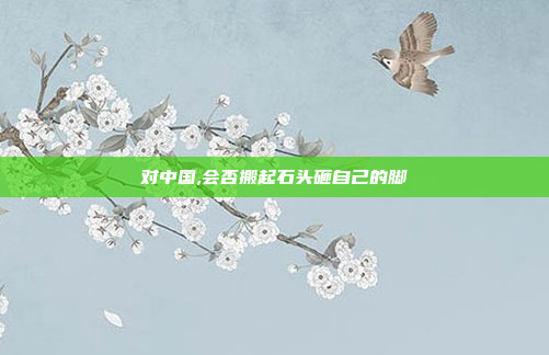 对中国,会否搬起石头砸自己的脚