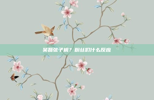 吴磊张子枫？粉丝们什么反应