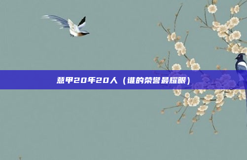 意甲20年20人（谁的荣誉最耀眼）