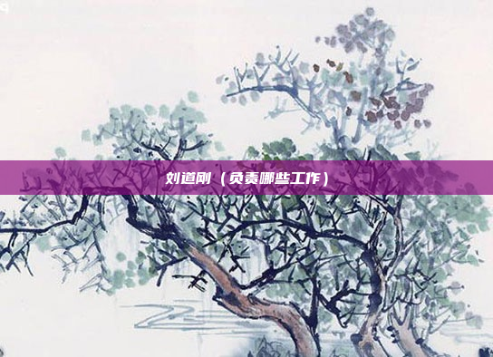 刘道刚（负责哪些工作）