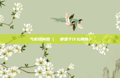 气枪结构图（  都是干什么用的）