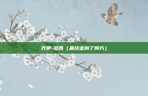 乔伊-多西（最终走向了何方）