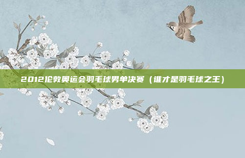 2012伦敦奥运会羽毛球男单决赛（谁才是羽毛球之王）