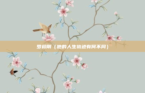 罗毅刚（他的人生轨迹有何不同）