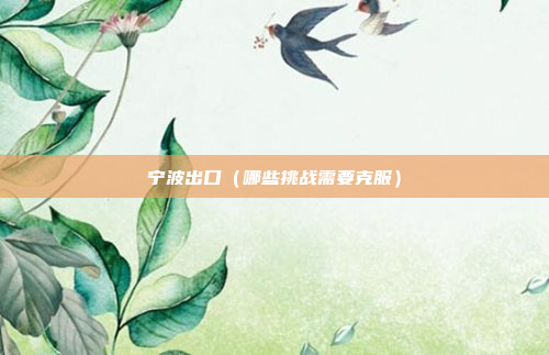 宁波出口（哪些挑战需要克服）