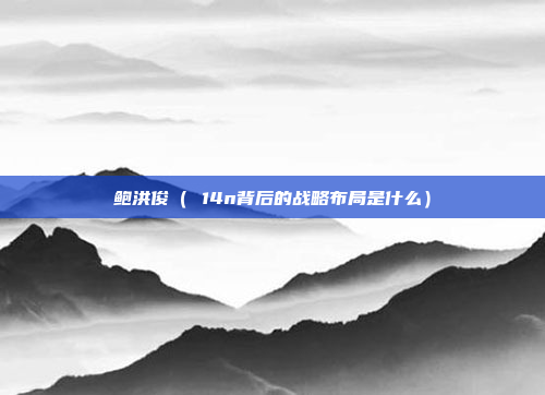 鲍洪俊（ 14n背后的战略布局是什么）