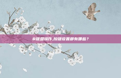 8键盘操作,按键设置都有哪些？