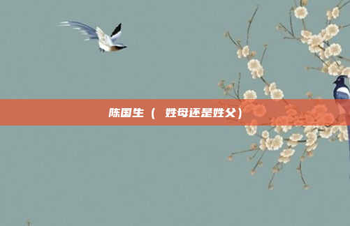 陈国生（ 姓母还是姓父）