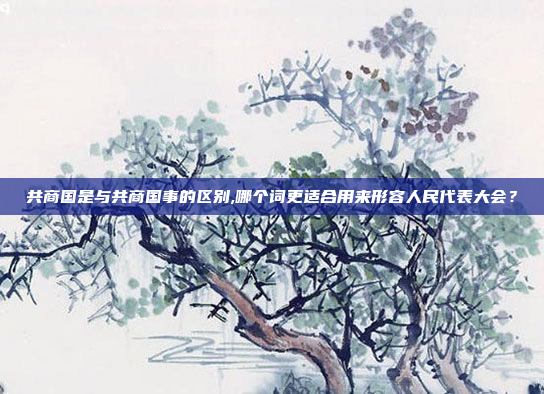 共商国是与共商国事的区别,哪个词更适合用来形容人民代表大会？