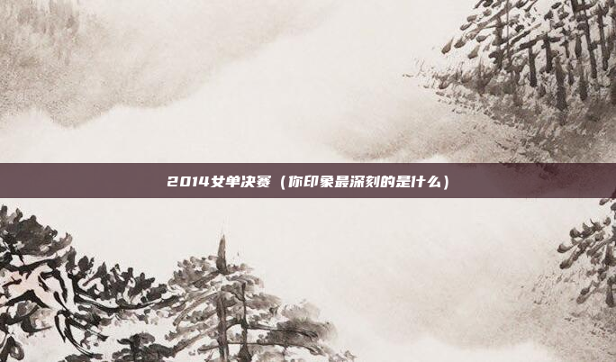 2014女单决赛（你印象最深刻的是什么）
