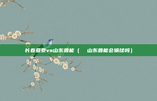 长春亚泰vs山东鲁能（  山东鲁能会输球吗）