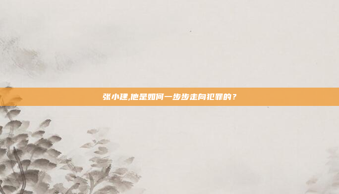 张小建,他是如何一步步走向犯罪的？