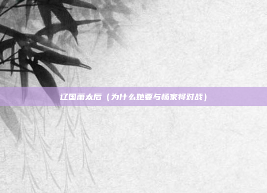 辽国萧太后(为什么她要与杨家将对战)
