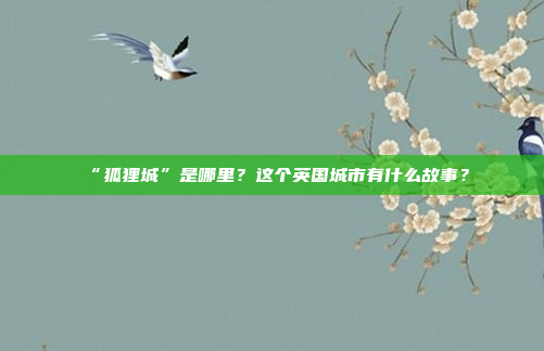 “狐狸城”是哪里？这个英国城市有什么故事？