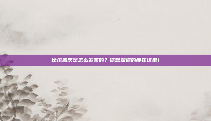 比尔盖茨是怎么发家的?你想知道的都在这里!