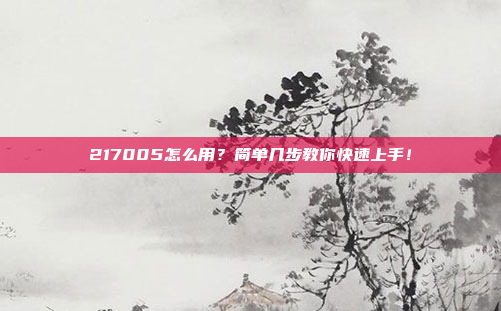 217005怎么用?简单几步教你快速上手!
