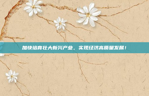 加快培育壮大新兴产业，实现经济高质量发展！