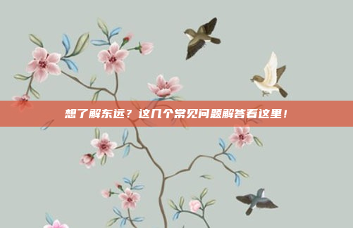 想了解东远？这几个常见问题解答看这里！