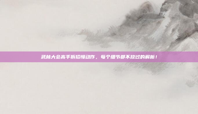 武林大会高手拆招慢动作，每个细节都不放过的解析！