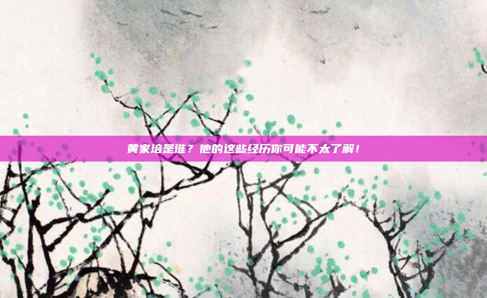 黄家培是谁？他的这些经历你可能不太了解！
