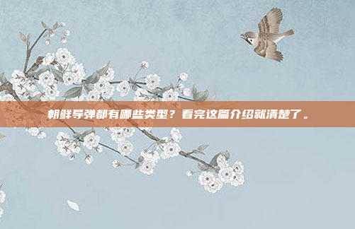 朝鲜导弹都有哪些类型？看完这篇介绍就清楚了。