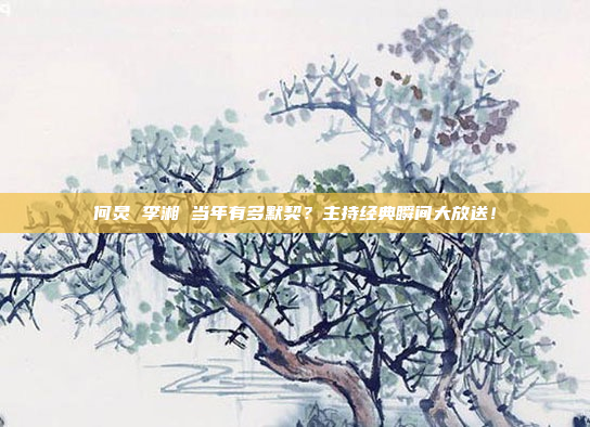 何炅 李湘 当年有多默契？主持经典瞬间大放送！