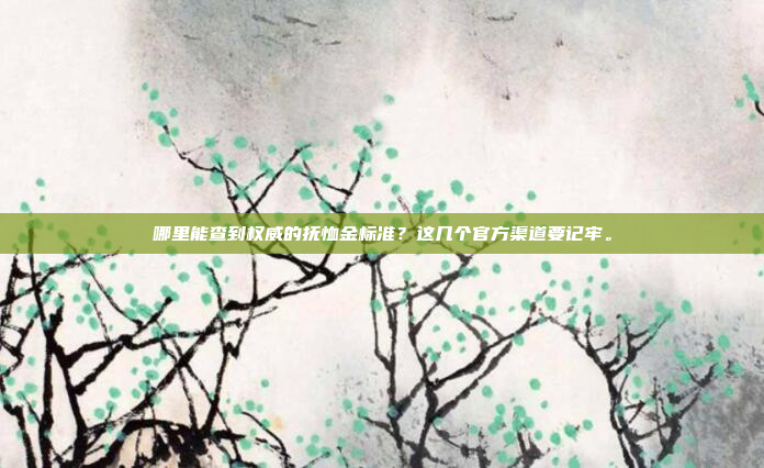 哪里能查到权威的抚恤金标准？这几个官方渠道要记牢。