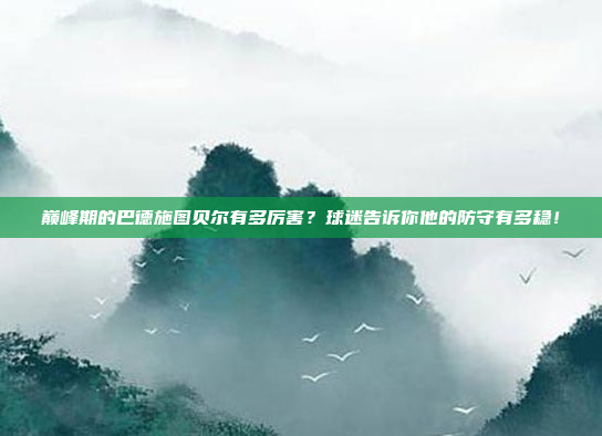 巅峰期的巴德施图贝尔有多厉害？球迷告诉你他的防守有多稳！