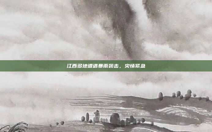 江西多地遭遇暴雨袭击，灾情紧急