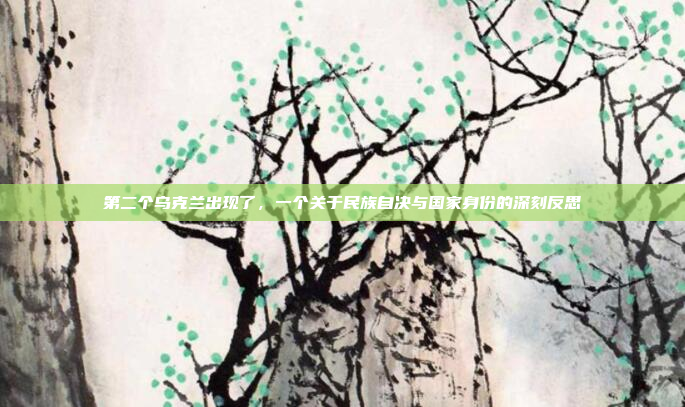 第二个乌克兰出现了，一个关于民族自决与国家身份的深刻反思