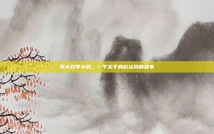 李大双李小双，一个关于身份认同的故事