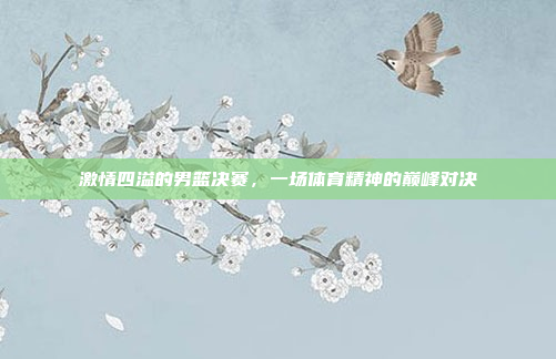 激情四溢的男篮决赛，一场体育精神的巅峰对决