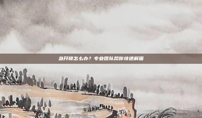 急开锁怎么办？专业团队帮你快速解困