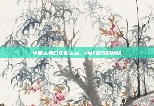 半枝莲与白花蛇舌草，两种独特的植物