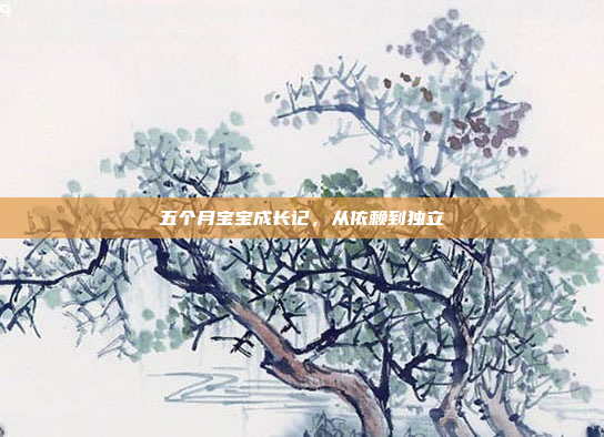 五个月宝宝成长记，从依赖到独立