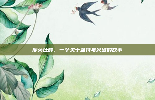 那英汪峰，一个关于坚持与突破的故事