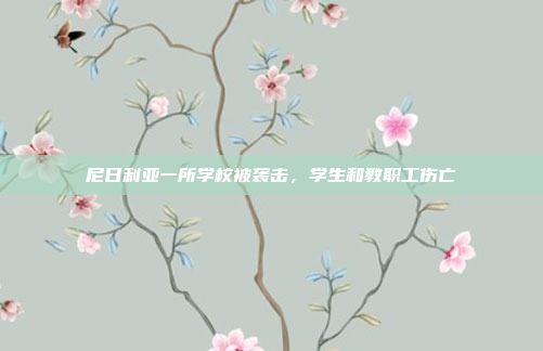 尼日利亚一所学校被袭击，学生和教职工伤亡