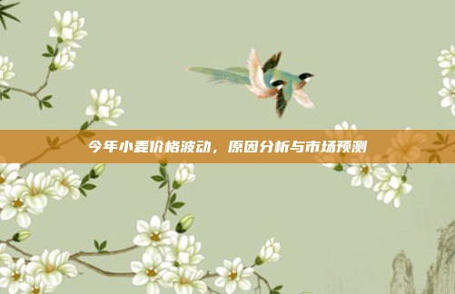 今年小麦价格波动，原因分析与市场预测