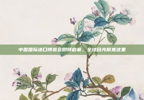 中国国际进口博览会即将启幕，全球目光聚焦这里