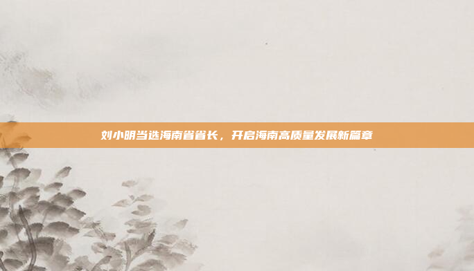 刘小明当选海南省省长，开启海南高质量发展新篇章