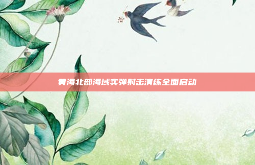 黄海北部海域实弹射击演练全面启动