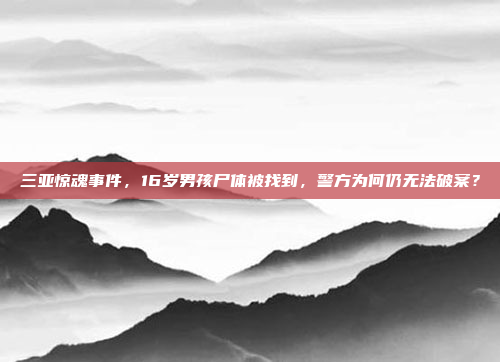 三亚惊魂事件，16岁男孩尸体被找到，警方为何仍无法破案？