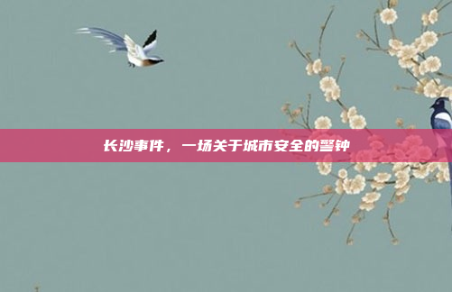 长沙事件，一场关于城市安全的警钟
