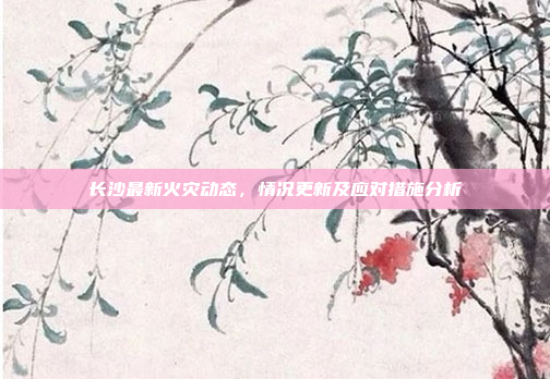 长沙最新火灾动态，情况更新及应对措施分析