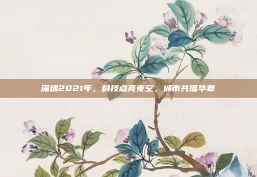 深圳2021年，科技点亮夜空，城市共谱华章