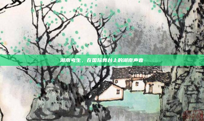 湖南考生，在国际舞台上的湖南声音