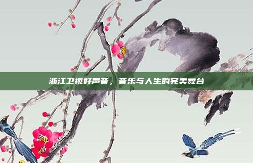浙江卫视好声音，音乐与人生的完美舞台