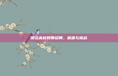 湖北高校教师招聘，机遇与挑战