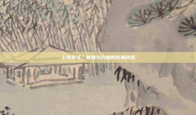 上海宝马，优雅与力量的完美结合
